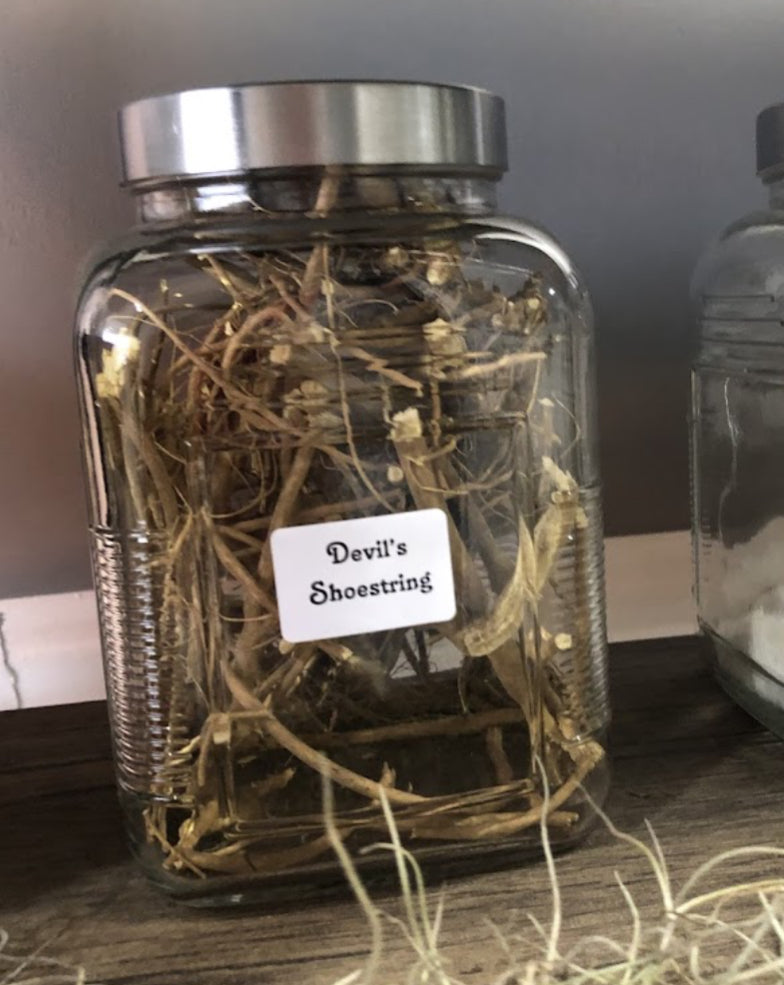 Devil’s Shoestring Curio Oil
