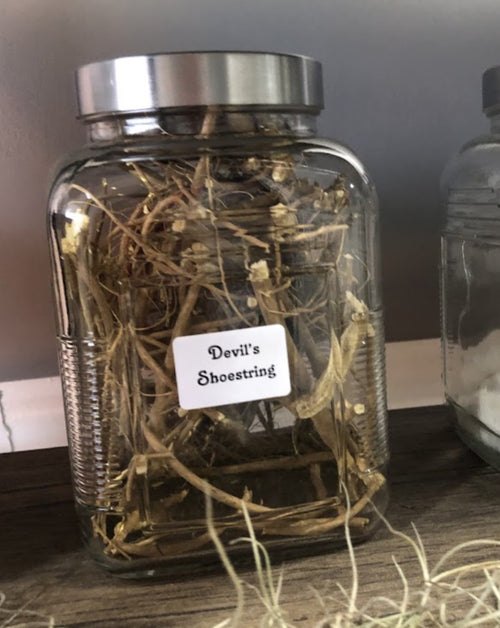 Devil’s Shoestring Curio Oil